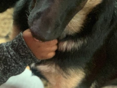 Looking for a family