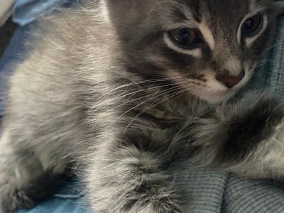 (he doesnt have a name😭)