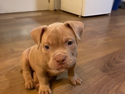 Se vende por que no podemos antenderlo