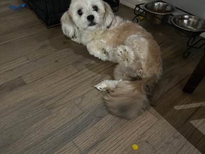 Lo vendo por mudanda