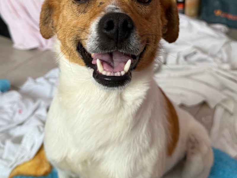 Adozione di coppia♥️